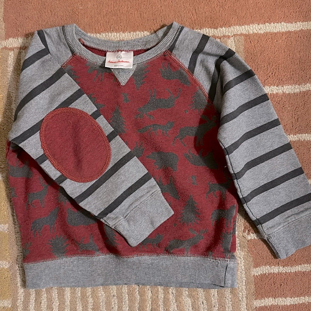 Hanna Andersson Boys Sweatshirt with fun animal print, size 100 (4T)